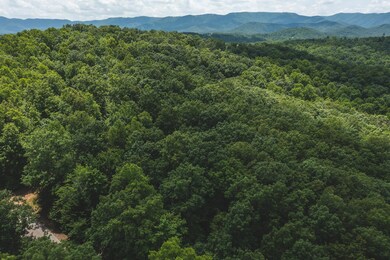 DJI_0306