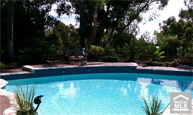 Backyard Pool and spa