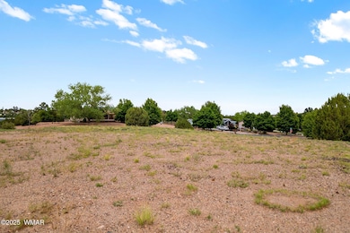1188 Outlaw Pass, Show Low, AZ 85901 - photo 4