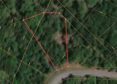 TBD Kinloch Dr, Bella Vista, AR 72715 - photo 6