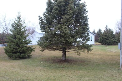 2757 County Road 86 SE, Alexandria, MN 56308 - photo 6