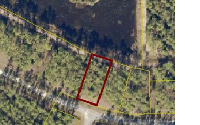 171 NW Gobbler Dr, Lake City, FL 32055 - photo 4