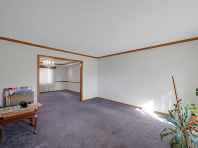 9-web-or-mls-2520-mccutcheon-rd