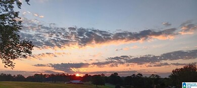 2397 County Road 79, Roanoke, AL 36274 - photo 2