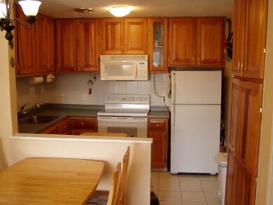 10 Riverside St unit 2-1, Watertown, MA 02472 - photo 2