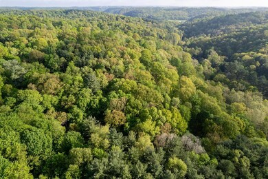 0 Twp Rd 629 & 3292 unit 9060612, Loudonville, OH 44842 - photo 3