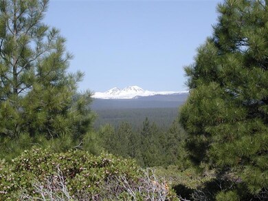 23 Shoshone Rd, Bend, OR 97702 - photo 3