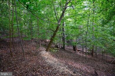 0 Paynes Ln, Aquia, VA 22554 - photo 7