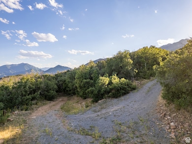 2000 Oakwood Dr unit 1, Springville, UT 84663 - photo 6