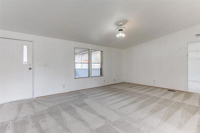 189 Adalida Ln, Springtown, TX 76082 - photo 5