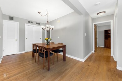 409 N Highview Ave, Elmhurst, IL 60126 - photo 7