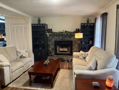 Living room with wood finished floors, a stone fireplace, crown molding, and a textured ceiling