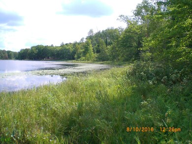 View to East