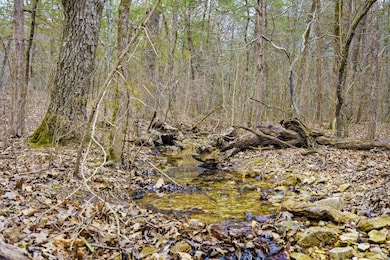 TABLE ROCK LAKE CLOSE ACREAGE