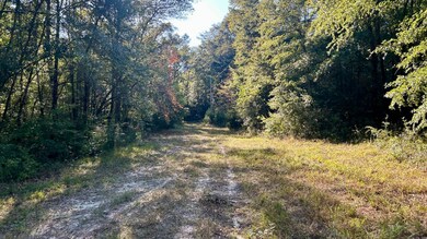 0 Lloyd Mill Rd unit 11615934, Andalusia, AL 36421 - photo 4