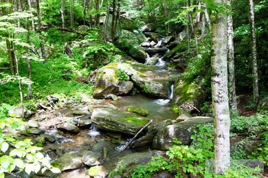 207 Woodwinds Ln, Seven Devils, NC 28604 - photo 4