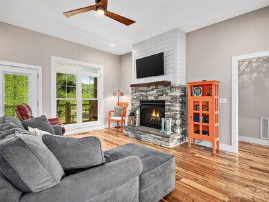 55 Blue Ridge Acres Rd, Asheville, NC 28806 - photo 5