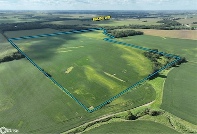 0 Racine Ave unit NOC6332170, Quasqueton, IA 50682 - photo 4