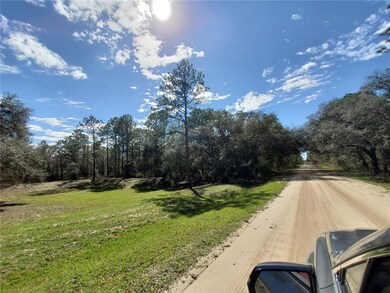 DRA ON LEFT, LOT IS THE WOODED LAND TO THE WEST ( 