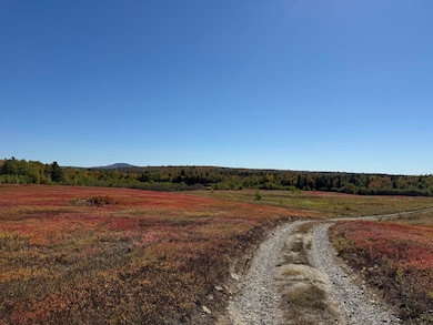 MAP19LOT28 Leach Rd, Penobscot, ME 04476 - photo 3