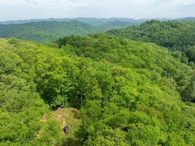 890 Panther Branch Rd, Hot Springs, NC 28743 - photo 3