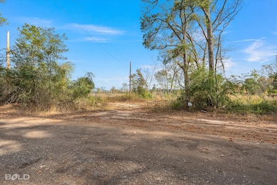 0 Pierce Rd, Logansport, LA 71049 - photo 6