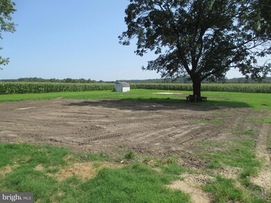 32470 Vines Creek Rd, Dagsboro, DE 19939 - photo 2