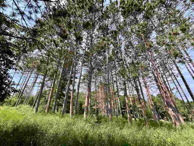 0 Bay Ridge Ln unit A-2 477659, Boyne City, MI 49712 - photo 6