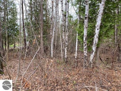 Lot 9 Rivershore Dr unit 9, Elk Rapids, MI 49629 - photo 3