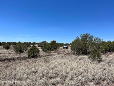 48225 N Steve Ln, Ash Fork, AZ 86320 - photo 6