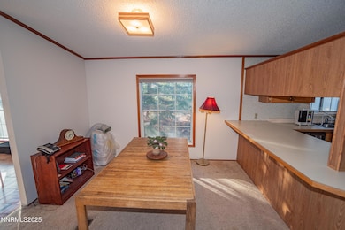 5590 Paullo Ln, Sun Valley, NV 89433 - photo 7