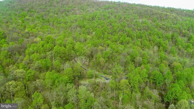 Lot 24 Mosby Springs Rd, Linden, VA 22642 - photo 4
