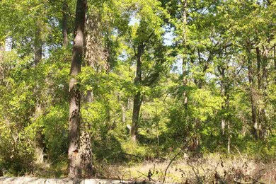 212 Sam Smith Cir, Crawfordville, FL 32327 - photo 5