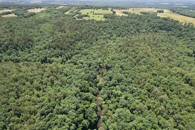 000 Ray King Rd, Judsonia, AR 72081 - photo 7