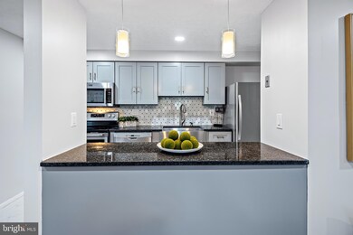 19613 Gunners Branch Rd unit 621, Germantown, MD 20876 - photo 5