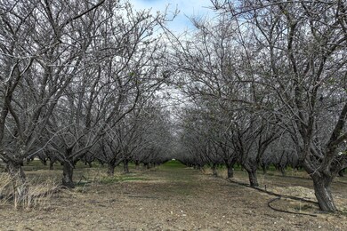 0 I- 5, Cantua Creek, CA 93608 - photo 6
