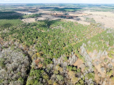 00 Cr 2237, Bagwell, TX 75426 - photo 3