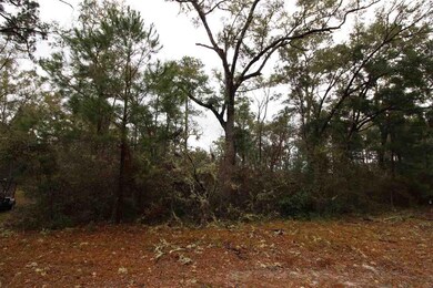 141 Isle of Paradise Rd, Crawfordville, FL 32327 - photo 6