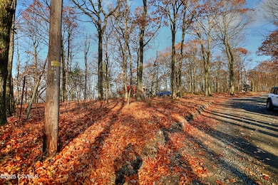 449 Evergreen Ln, Catawissa, PA 17820 - photo 7