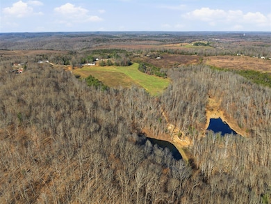 0 Millshed Rd unit RA20256885, Morgantown, KY 42261 - photo 5