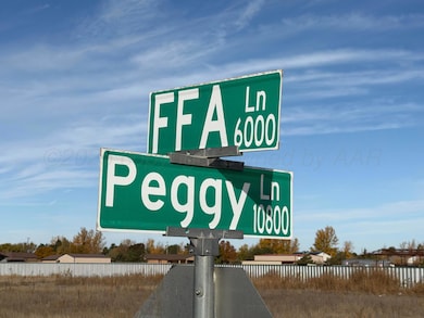 10800 Peggy Ln, Dumas, TX 79029 - photo 4