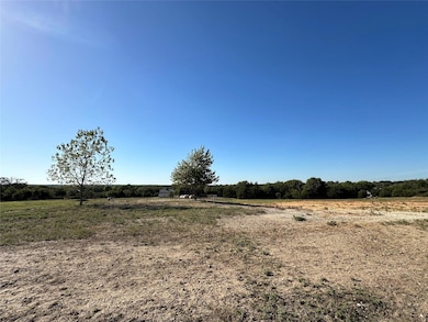 1066 Stagecoach Ranch Dr, Weatherford, TX 76085 - photo 4