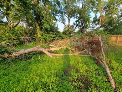 9410 Firnat St, Houston, TX 77016 - photo 5