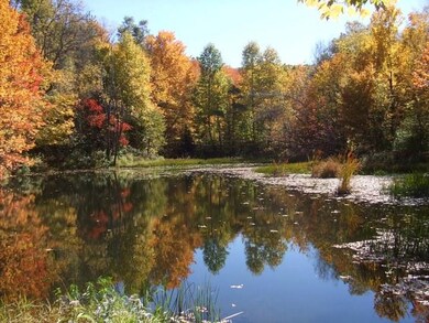 There are four seasons of tranquility awaiting you