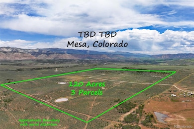 0 Tbd 40 Acres unit REC8214366, Mesa, CO 81643 - photo 3