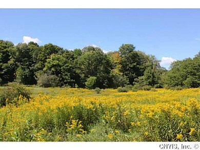 Land/Lot Meadow