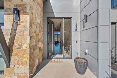 236 Overlook Ridge, Carbondale, CO 81623 - photo 5