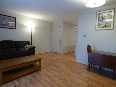 170 E Hadley Rd unit 45, Amherst, MA 01002 - photo 3
