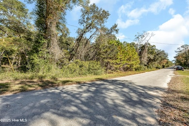 476 Crossland Rd SW, Bolivia, NC 28422 - photo 3