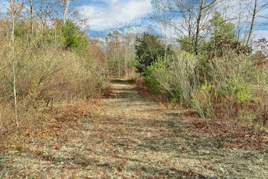 7 Lady Slipper Ln, Moultonborough, NH 03254 - photo 5